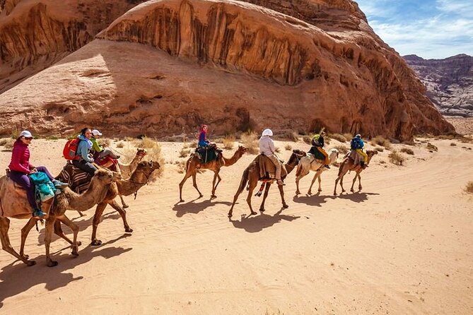 Camel Trekking in the Sinai Peninsula Camel Trekking in the Sinai Peninsula EgyptCoupons
