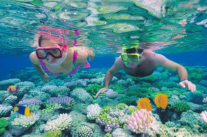 Snorkeling in Hurghada Snorkeling in Hurghada EgyptCoupons