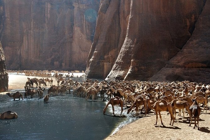 Wadi El Gemal National Park Wadi El Gemal National Park EgyptCoupons